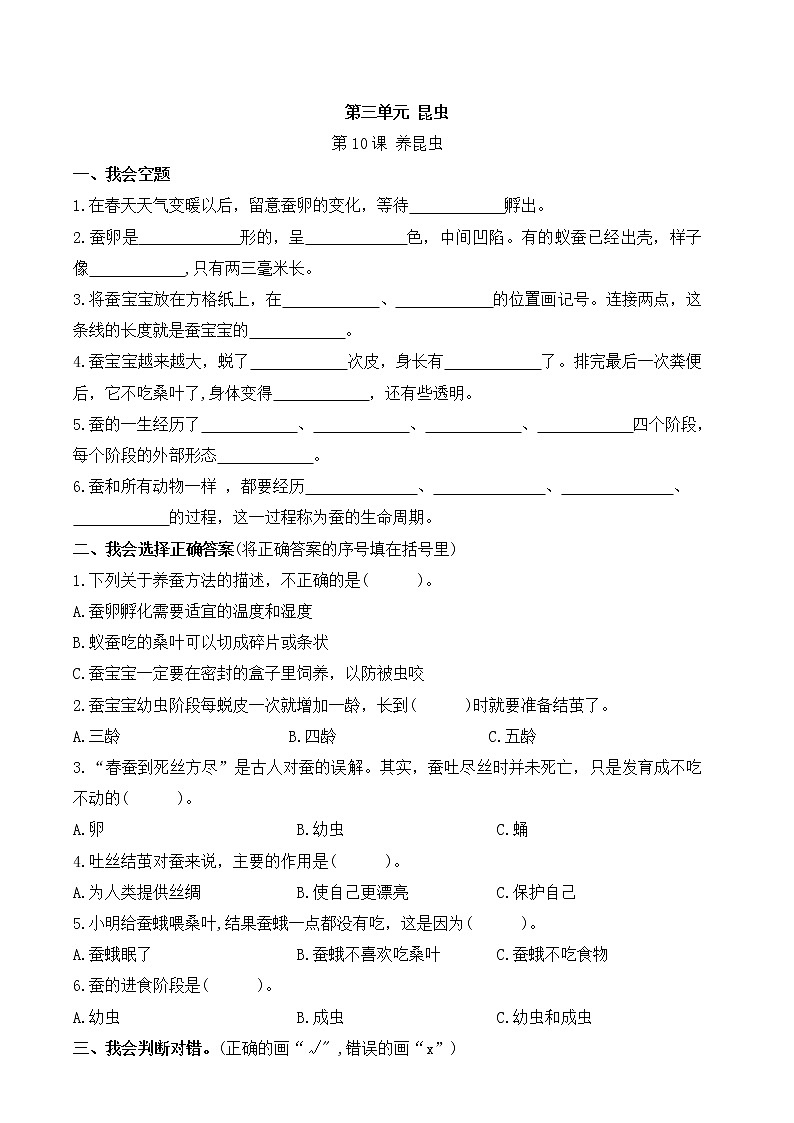 苏教版科学四年级下册第三单元第10课养昆虫课时作业本（含答案） 练习01