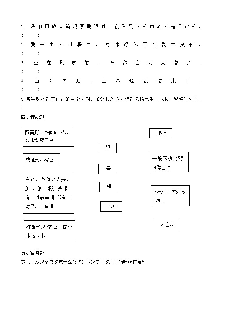 苏教版科学四年级下册第三单元第10课养昆虫课时作业本（含答案） 练习02