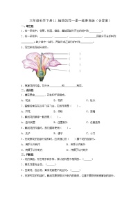 青岛版 (六三制2017)第四单元 植物的繁殖11 植物的花课堂检测