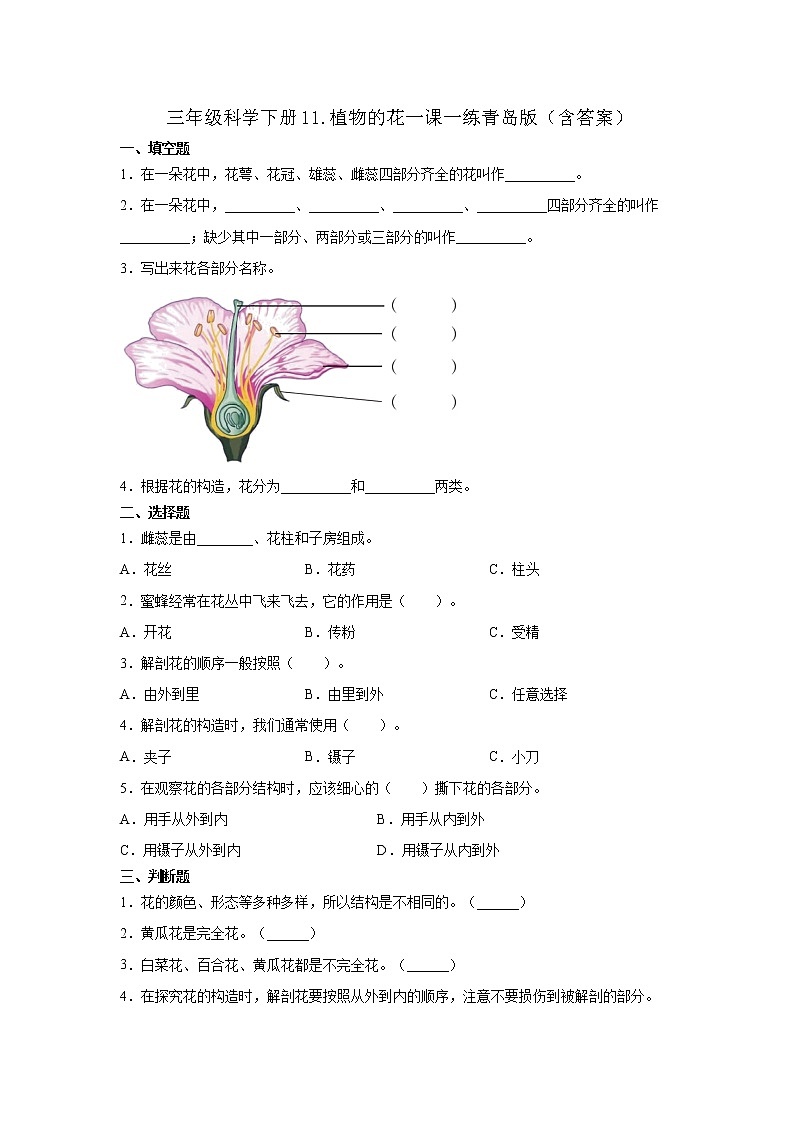 青岛版三年级科学下册11.植物的花一课一练一课一练习题（含答案）01