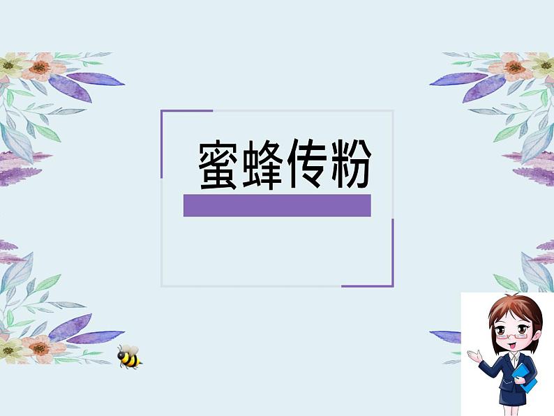 冀人版三年级下册科学10蜜蜂传粉课件01