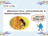 冀人版三年级下册科学10蜜蜂传粉课件