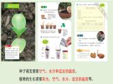 教科版四年級(jí)下冊(cè)第一單元《植物的生長變化》單元整理復(fù)習(xí)課件