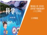青島版四年級(jí)下冊(cè)科學(xué)12《種辣椒》教學(xué)課件