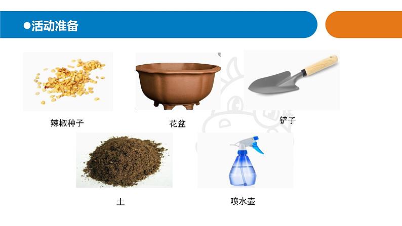 青岛版四年级下册科学12《种辣椒》教学课件02