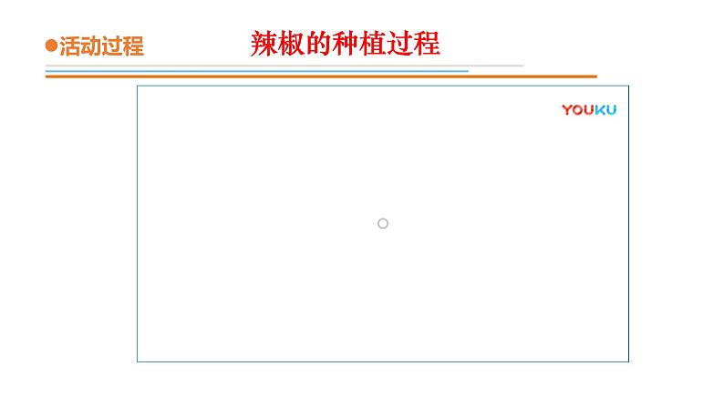 青岛版四年级下册科学12《种辣椒》教学课件07