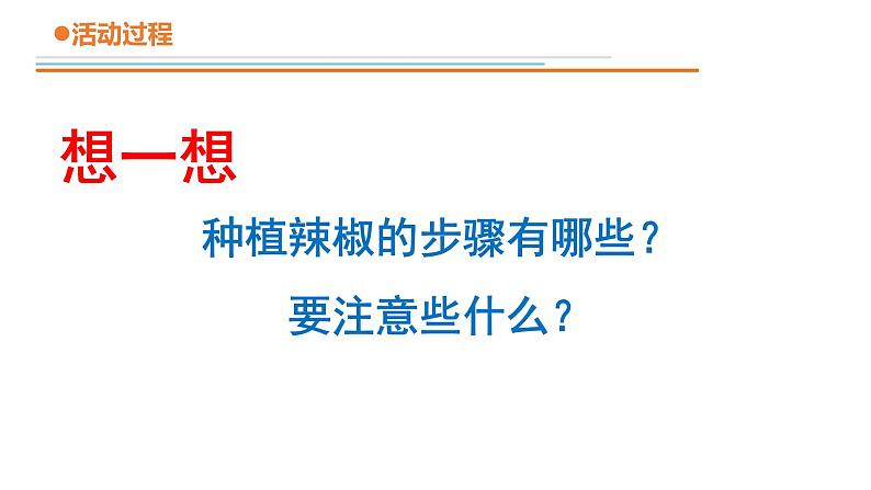 青岛版四年级下册科学12《种辣椒》教学课件08