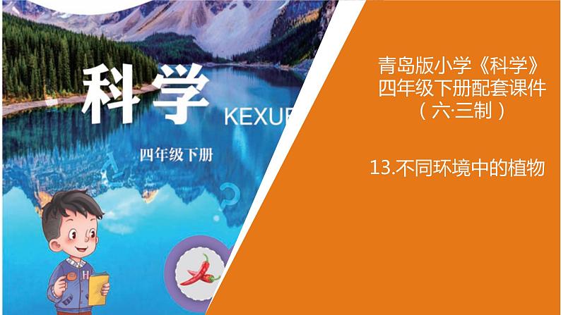 青岛版四年级下册科学13《不同环境中的植物》教学课件01