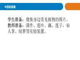 青島版四年級下冊科學(xué)13《不同環(huán)境中的植物》教學(xué)課件