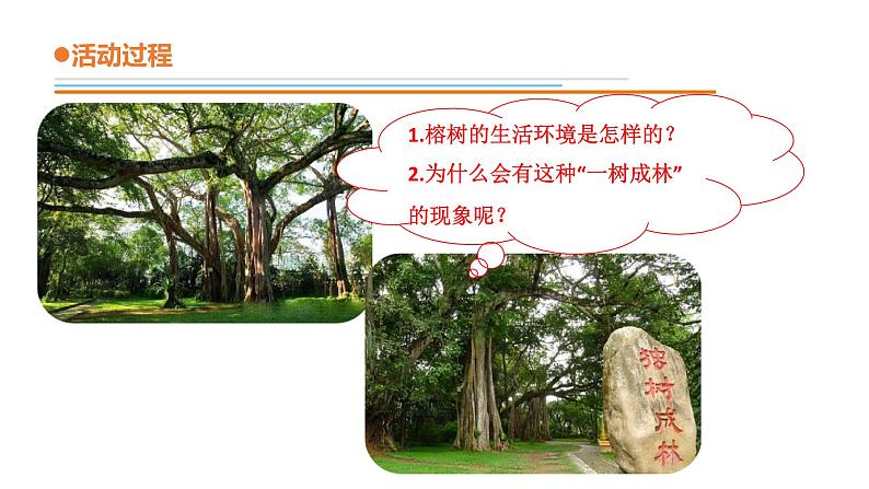 青岛版四年级下册科学13《不同环境中的植物》教学课件04