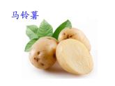 青岛版五年级下册科学14.植物的“分身术”教学课件