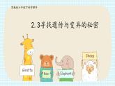 2.3《寻找遗传与变异的秘密》PPT课件