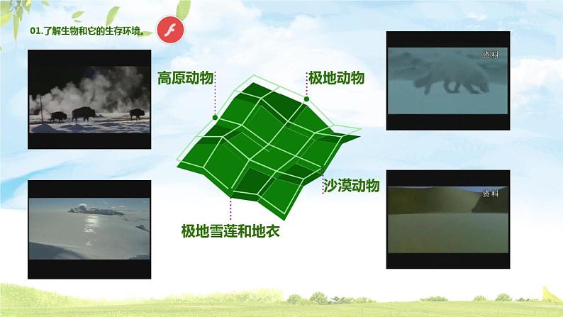 4.1《寻找生物的家园》PPT课件04