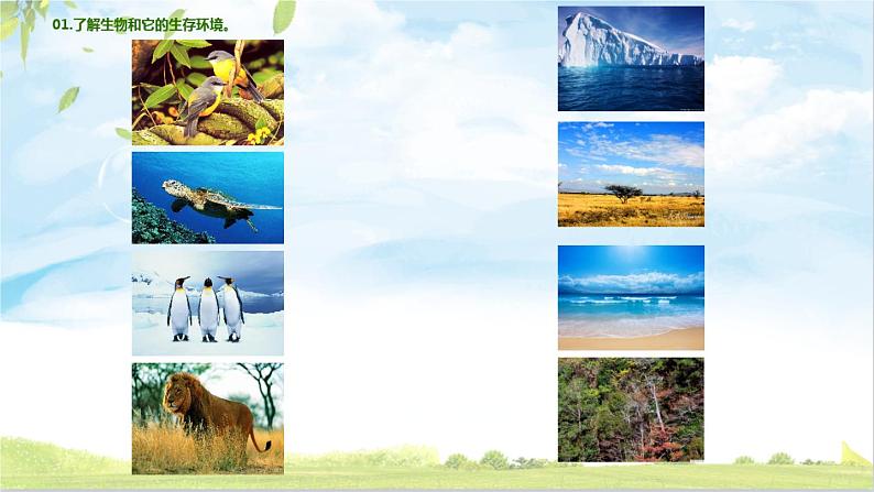 4.1《寻找生物的家园》PPT课件05