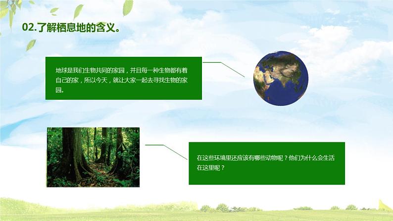 4.1《寻找生物的家园》PPT课件06