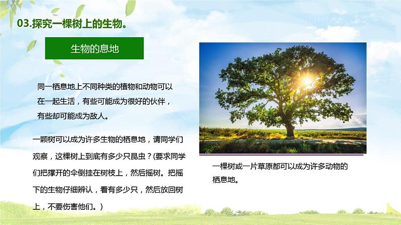 4.1《寻找生物的家园》PPT课件08