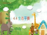 4. 4《生态平衡》PPT课件