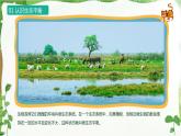 4. 4《生态平衡》PPT课件