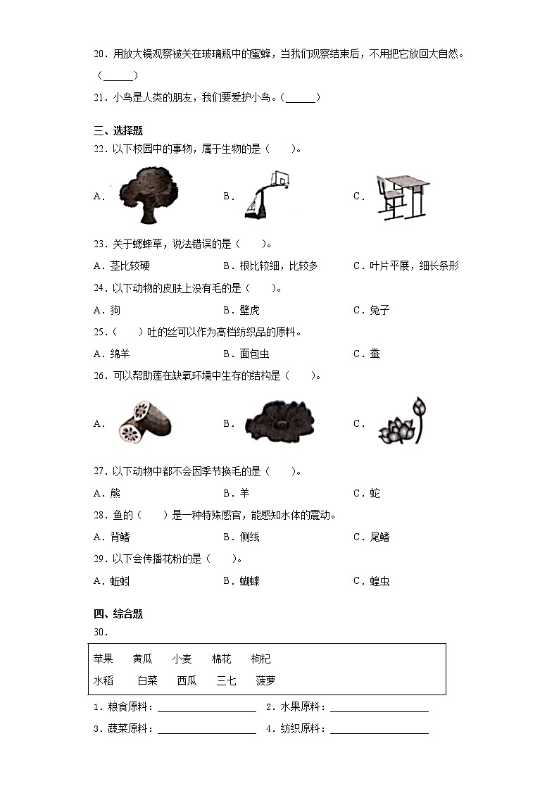 2020-2021学年河北省邢台市冀人版三年级下册期中考试科学试卷（word版 含答案）02