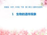 苏教版六年级科学 生物的遗传现象     公开课 课件