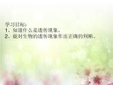 苏教版六年级科学 生物的遗传现象     公开课 课件