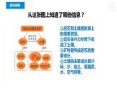 教科版四年级下册科学3.8《岩石、土壤和我们》课件+教案+实验视频