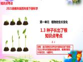 教科版四年级科学下册 1.3《种子长出了根》知识点考点