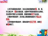 教科版四年级科学下册 1.3《种子长出了根》知识点考点