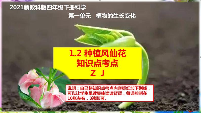 教科版四年级科学下册 1.2《种植凤仙花》知识点考点01