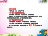 新教科版四年级科学下册 3.3《岩石的组成》知识点考点
