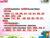 新教科版四年级科学下册 2.6《导体和绝缘体》知识点考点