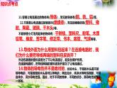 新教科版四年级科学下册 2.6《导体和绝缘体》知识点考点