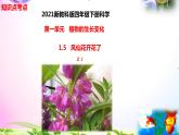 新教科版四年级科学下册 1.5《风仙花开花了》知识点考点