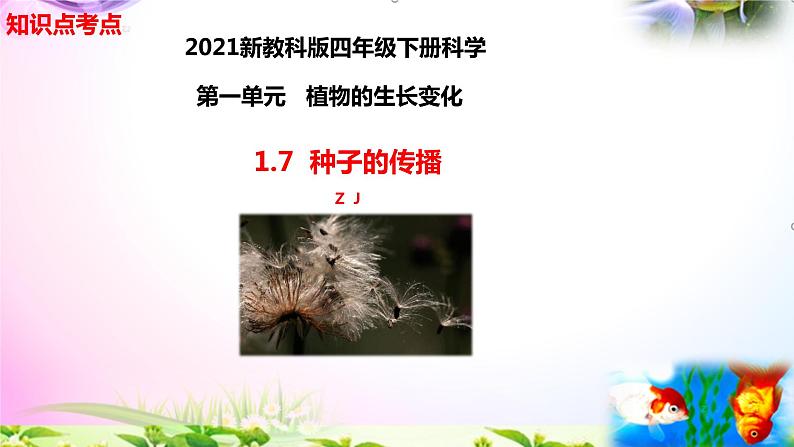 新教科版四年级科学下册 1.7《种子的传播》知识点考点01