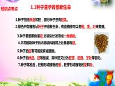 教科版科学四年级下册全册知识点归纳：总复习课件+实验部分+问答