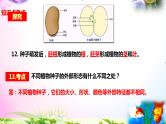 教科版科学四年级下册全册知识点归纳：总复习课件+实验部分+问答