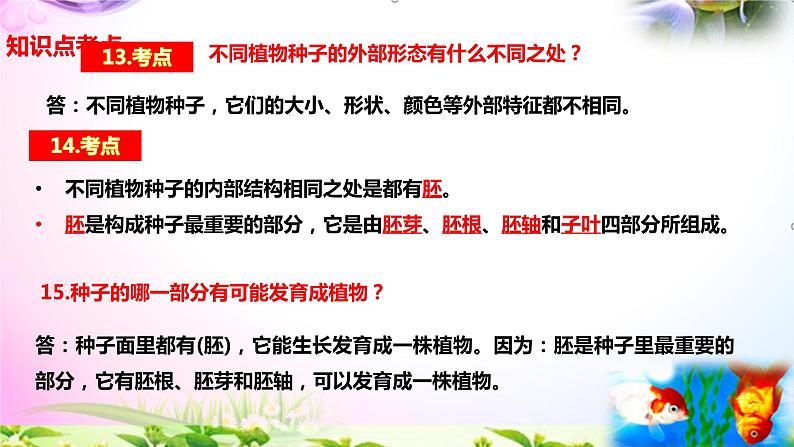 教科版科学四年级下册全册知识点归纳：总复习课件+实验部分+问答06