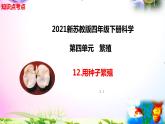 新苏教版四年级科学下册 12.《用种子繁殖》知识点考点复习课件