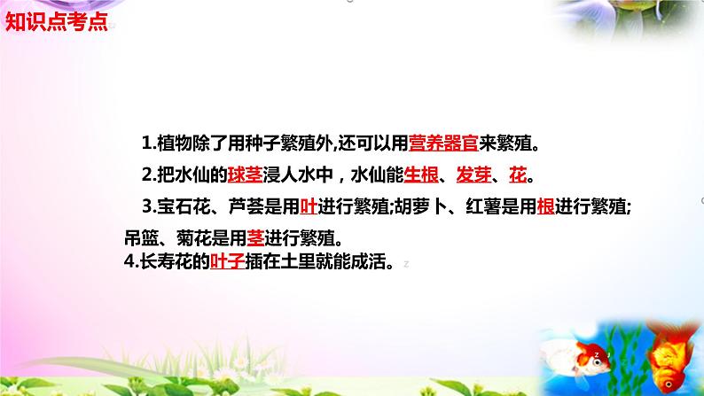 新苏教版四年级科学下册 13.《用根、茎、叶繁殖》知识点考点复习课件02