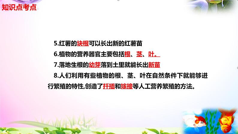 新苏教版四年级科学下册 13.《用根、茎、叶繁殖》知识点考点复习课件03