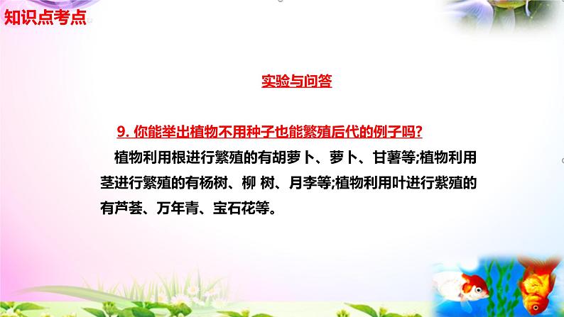 新苏教版四年级科学下册 13.《用根、茎、叶繁殖》知识点考点复习课件04