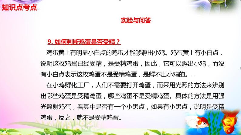 新苏教版四年级科学下册 14.《动物的繁殖》知识点考点复习课件04