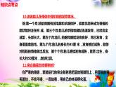 新苏教版四年级科学下册 14.《动物的繁殖》知识点考点复习课件