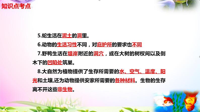 新苏教版四年级科学下册 16.《动物的庇护所》知识点考点复习课件03