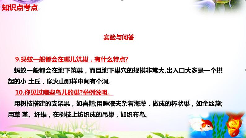 新苏教版四年级科学下册 16.《动物的庇护所》知识点考点复习课件04