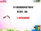 新苏教版四年级科学下册 11.《探究昆虫的奥秘》知识点考点复习课件