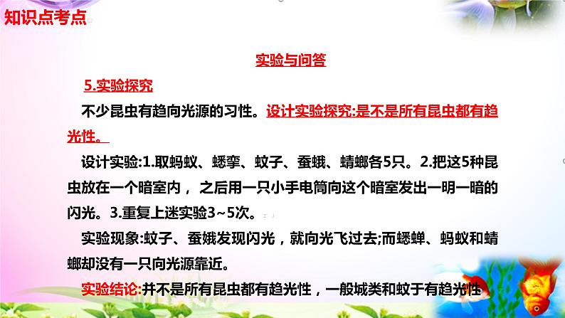 新苏教版四年级科学下册 11.《探究昆虫的奥秘》知识点考点复习课件03