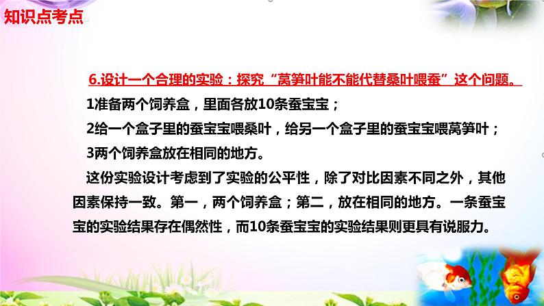 新苏教版四年级科学下册 11.《探究昆虫的奥秘》知识点考点复习课件04