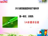 新苏教版四年级科学下册 4.《水遇冷以后》知识点考点复习课件