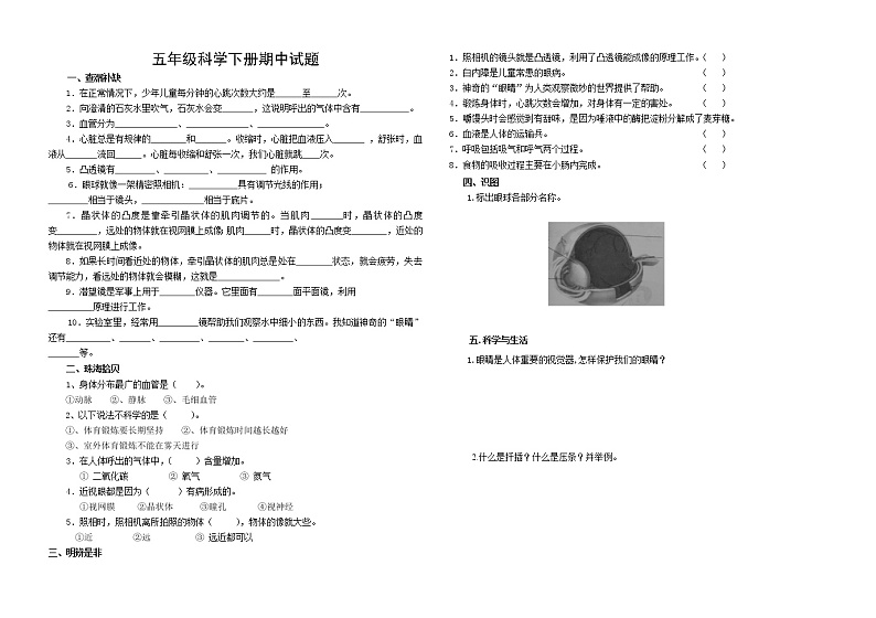 青岛版五年级下册科学期中质量测试题（无答案）01